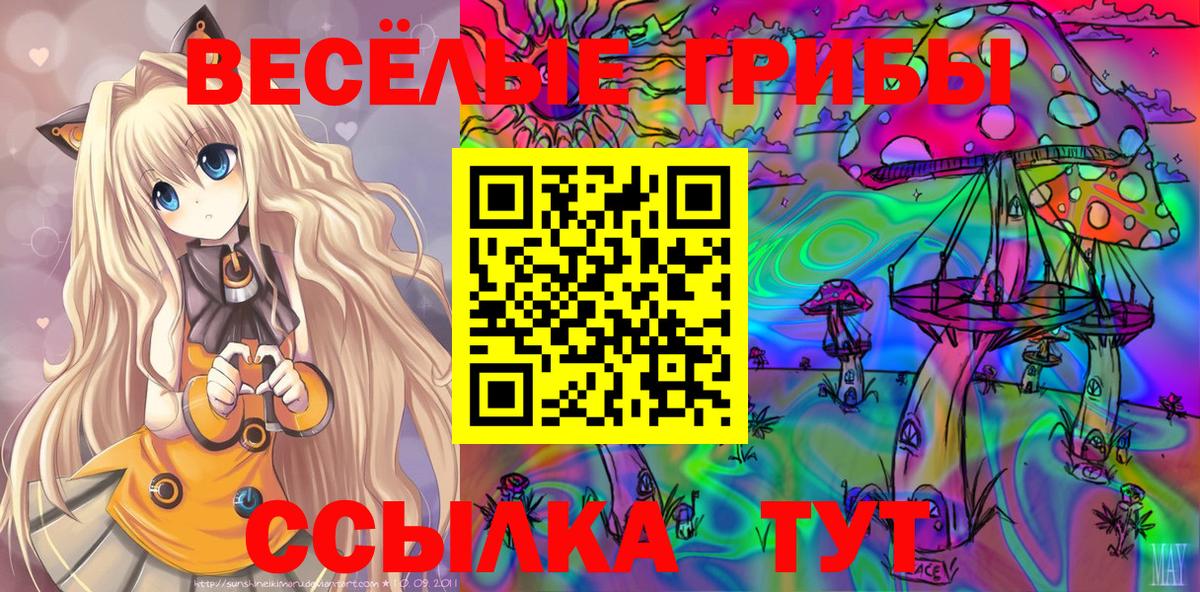 Гулькевичи  Псилоцибиновые грибы Psilocybine cubensis  Вход с VPN 