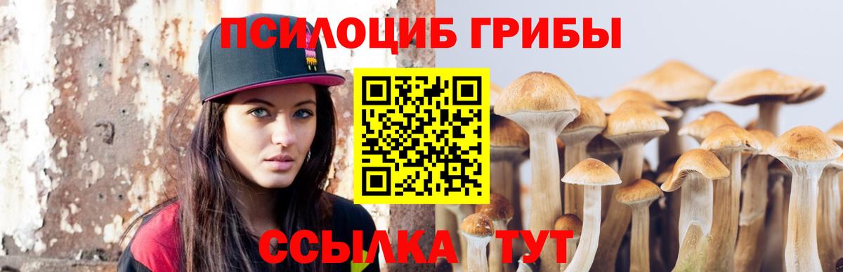 Галлюциногенные грибы Psilocybe Гулькевичи